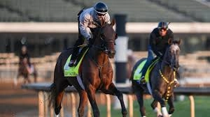 EXPERT PICKS! 2026 Kentucky Derby Horses, Odds & Predictions — The Guru Who Hit 12 Derby-Oaks Doubles REVEALS His Picks!